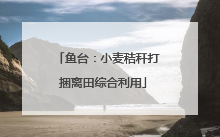 鱼台：小麦秸秆打捆离田综合利用