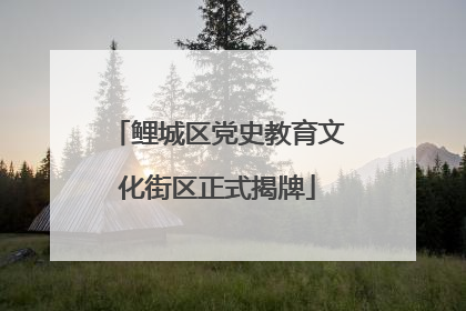 鲤城区党史教育文化街区正式揭牌