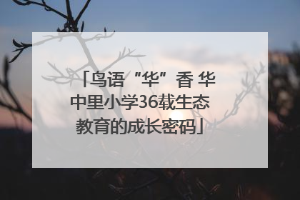 鸟语“华”香 华中里小学36载生态教育的成长密码