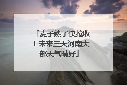 麦子熟了快抢收！未来三天河南大部天气晴好