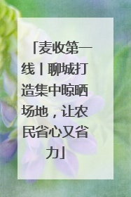 麦收第一线丨聊城打造集中晾晒场地，让农民省心又省力