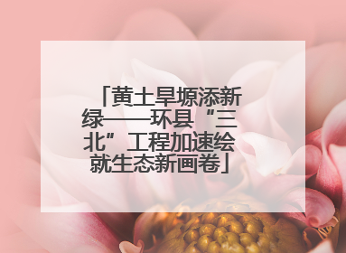 黄土旱塬添新绿——环县“三北”工程加速绘就生态新画卷