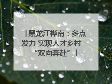黑龙江桦南：多点发力 实现人才乡村“双向奔赴”