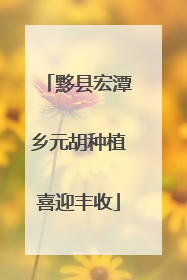 黟县宏潭乡元胡种植喜迎丰收