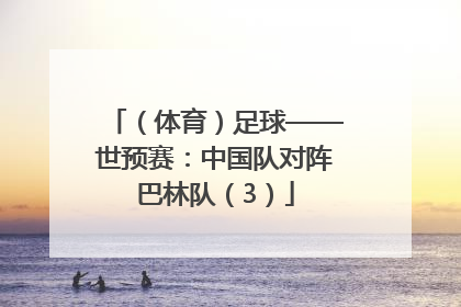 （体育）足球——世预赛：中国队对阵巴林队（3）