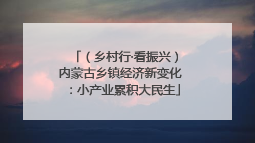 （乡村行·看振兴）内蒙古乡镇经济新变化：小产业累积大民生