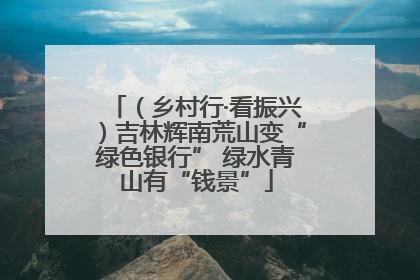 （乡村行·看振兴）吉林辉南荒山变“绿色银行” 绿水青山有“钱景”