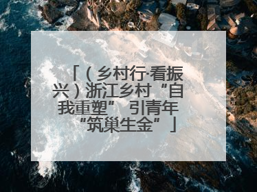 （乡村行·看振兴）浙江乡村“自我重塑” 引青年“筑巢生金”