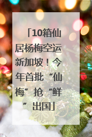10箱仙居杨梅空运新加坡！今年首批“仙梅”抢“鲜”出国