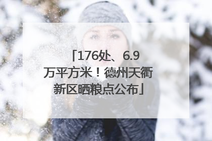 176处、6.9万平方米！德州天衢新区晒粮点公布