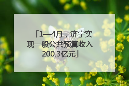 1—4月，济宁实现一般公共预算收入200.3亿元