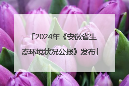 2024年《安徽省生态环境状况公报》发布