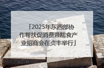 2025年东西部协作帮扶促消费暨糯食产业招商会在贞丰举行