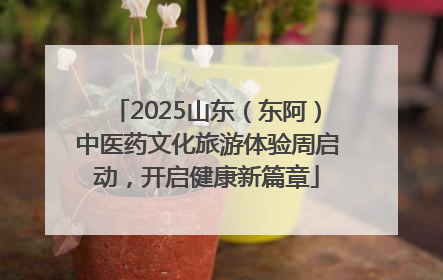 2025山东（东阿）中医药文化旅游体验周启动，开启健康新篇章