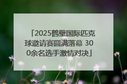 2025鹤壁国际匹克球邀请赛圆满落幕 300余名选手激情对决