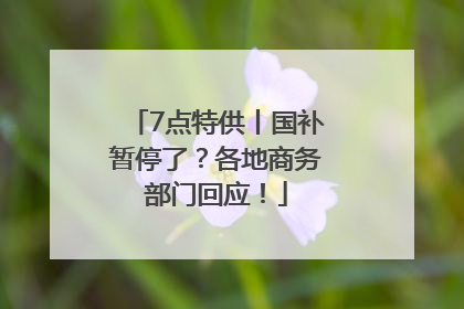 7点特供丨国补暂停了？各地商务部门回应！