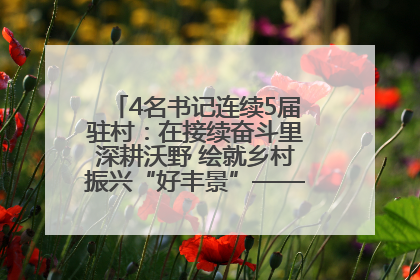 4名书记连续5届驻村：在接续奋斗里深耕沃野 绘就乡村振兴“好丰景”——浦发银行南京分行助力脱贫攻坚、帮促乡村振兴记事（二）