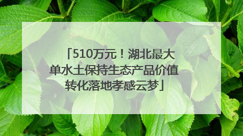510万元！湖北最大单水土保持生态产品价值转化落地孝感云梦