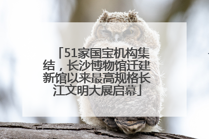 51家国宝机构集结，长沙博物馆迁建新馆以来最高规格长江文明大展启幕
