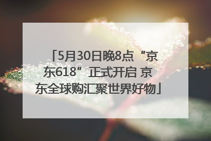 5月30日晚8点“京东618”正式开启 京东全球购汇聚世界好物