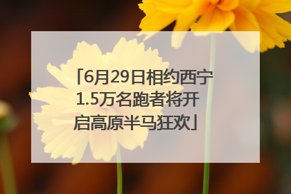 6月29日相约西宁 1.5万名跑者将开启高原半马狂欢