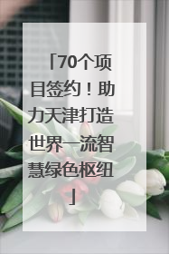70个项目签约！助力天津打造世界一流智慧绿色枢纽