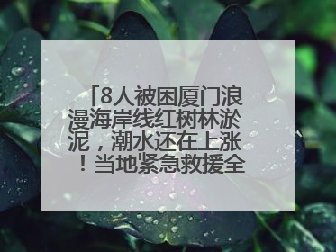 8人被困厦门浪漫海岸线红树林淤泥，潮水还在上涨！当地紧急救援全部脱困