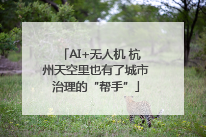 AI+无人机 杭州天空里也有了城市治理的“帮手”