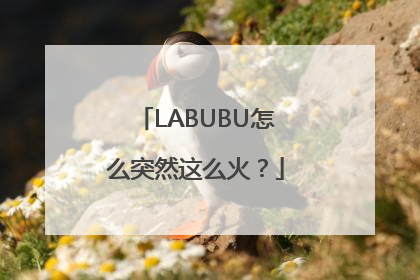 LABUBU怎么突然这么火？